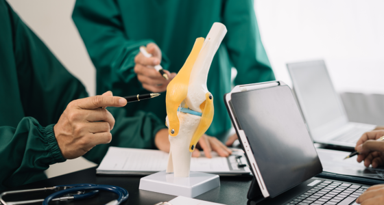 ACL INSERTION – Current Understanding and Its Relevance in Anatomical ACL Reconstruction