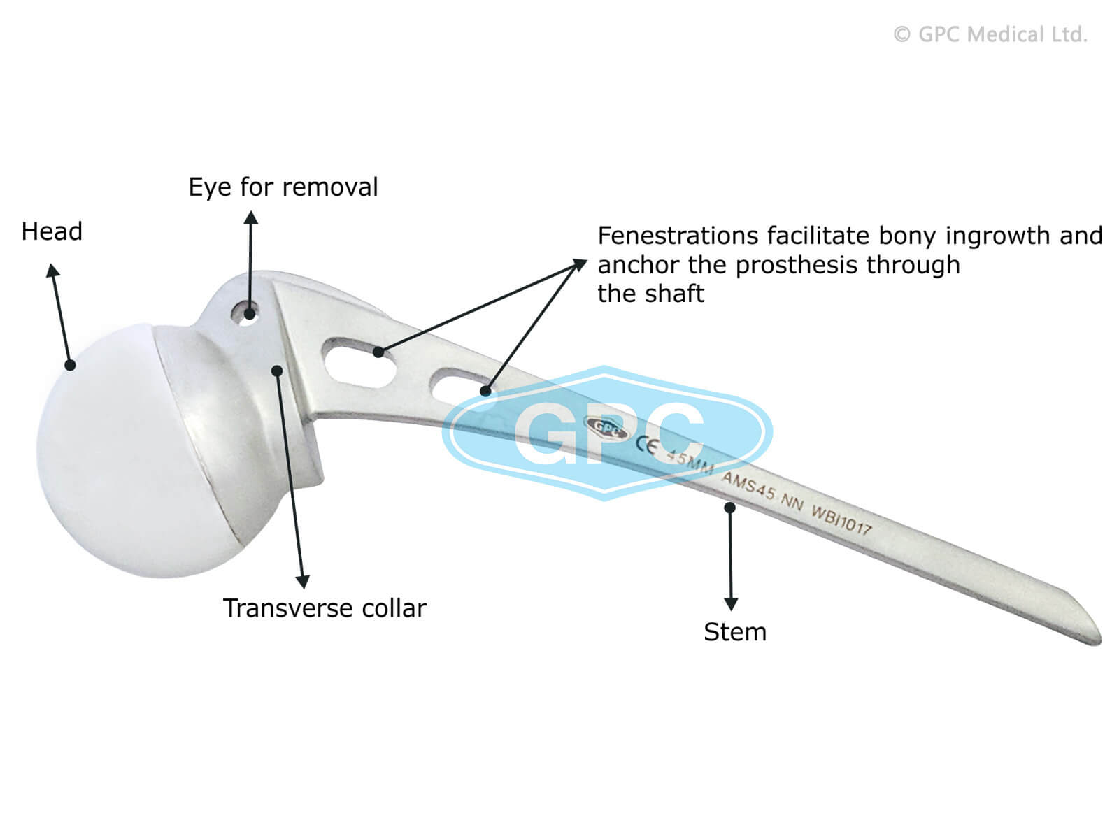 Austin Moore Hip Prostheses Sterile/Non Sterile