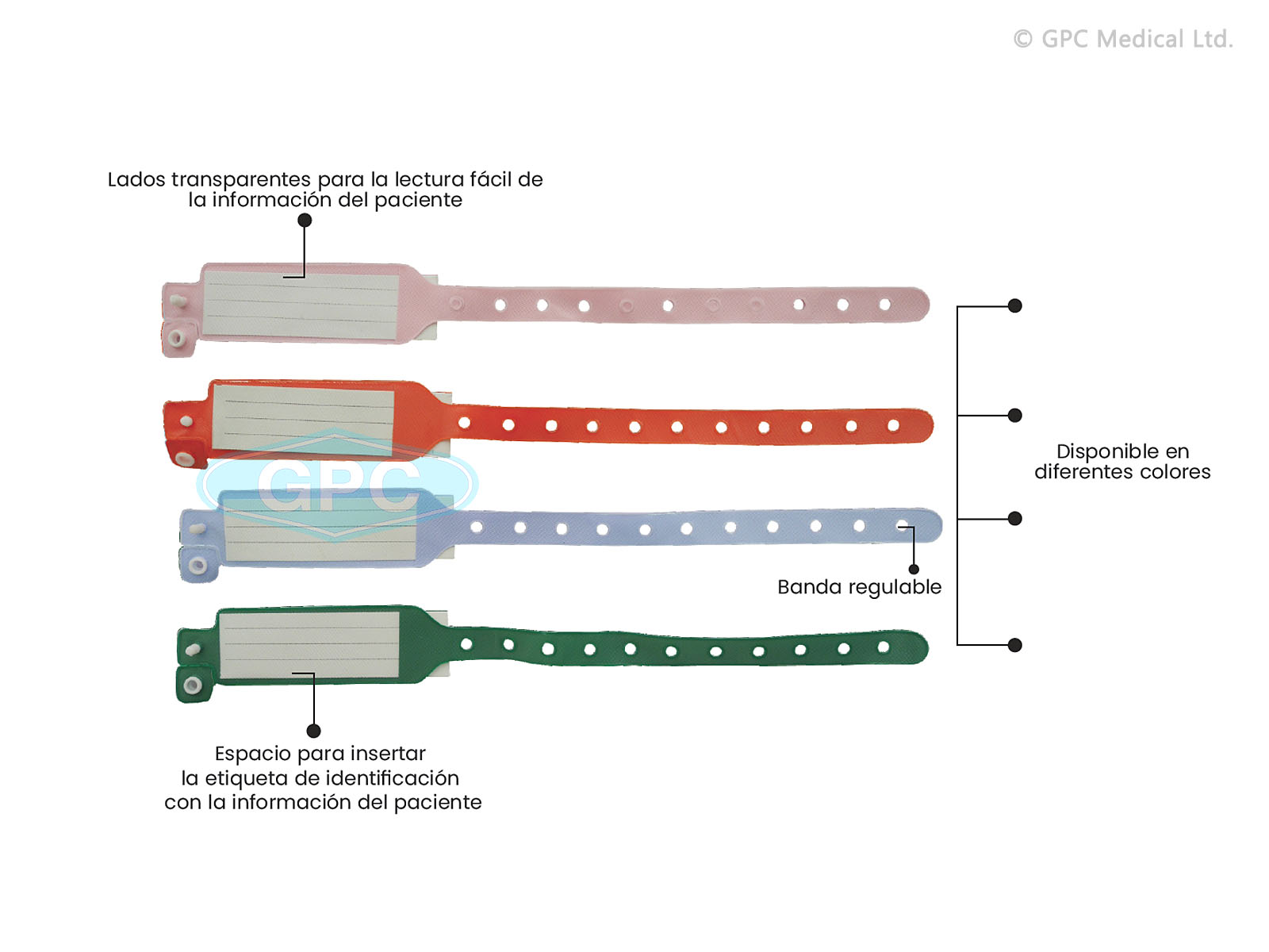 BANDA DE IDENTIFICACIÓN (CON ETIQUETA INSERTADA) - ADULTOS