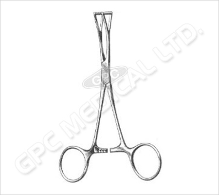 Organ Holding Forceps (Collin)