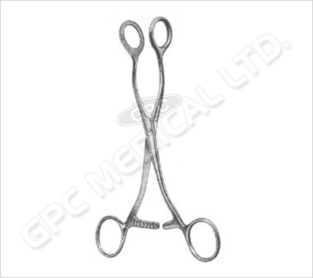 Organ Holding Forceps (Collin)