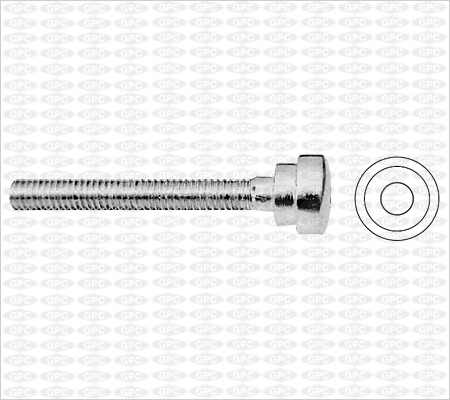 D.H.S. Compression Screw/Blocking Screw (SS)