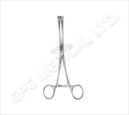 Organ Holding Forceps (Duval)