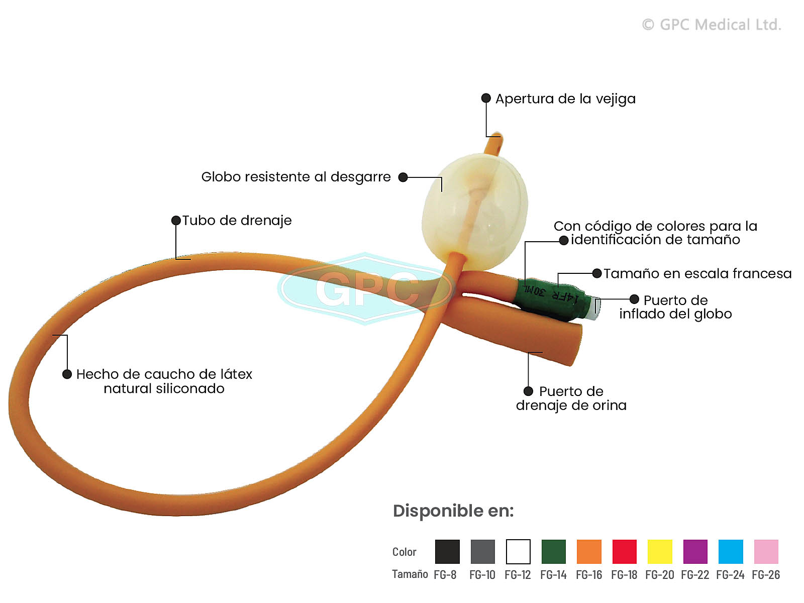 SONDA DE FOLEY CON GLOBO