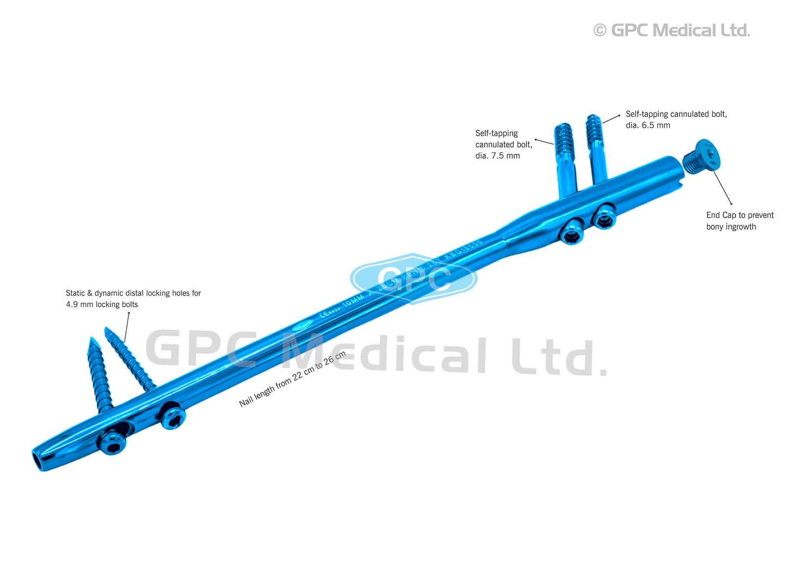 Proximal Femoral Nail (PFN)