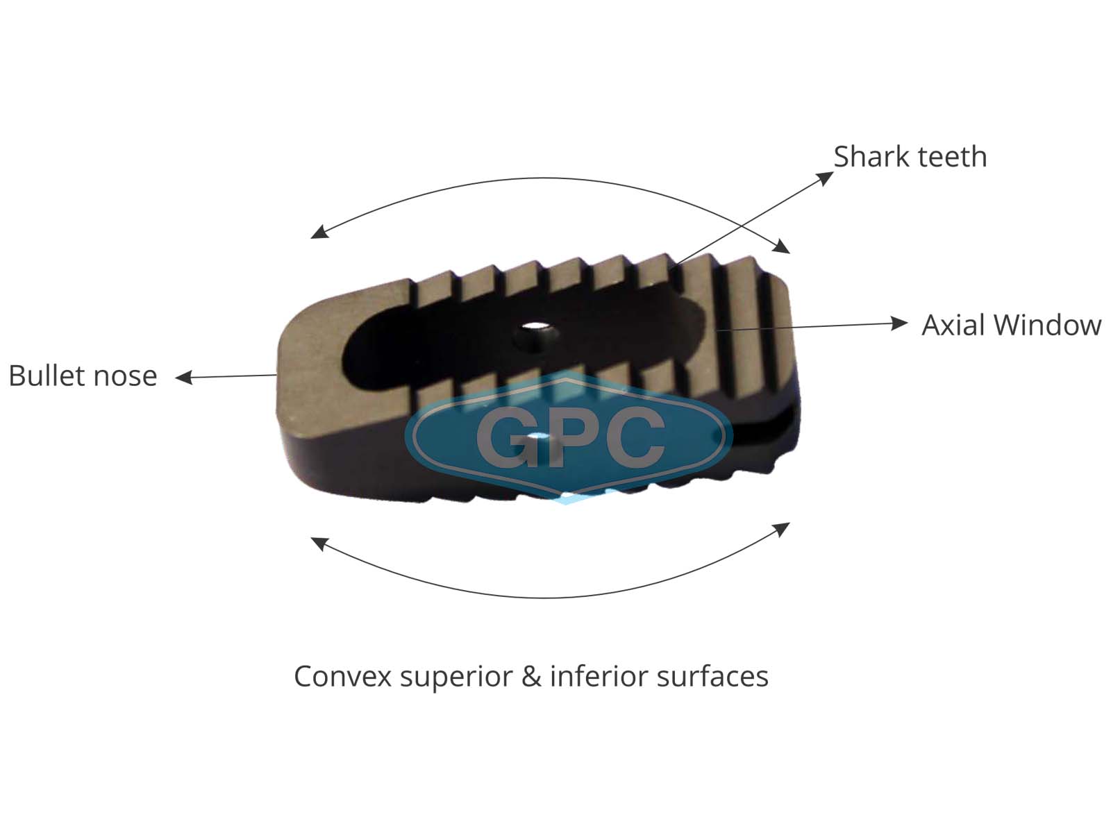 spine<em>HEAL</em> Lumbar Cage System