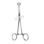 Organ Holding Forceps (Babcock)