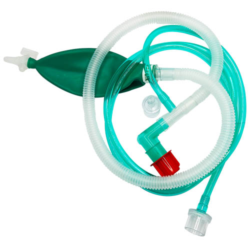 Circuit de Bain - Enfant