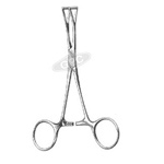 Organ Holding Forceps (Collin)