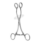 Organ Holding Forceps (Collin)