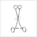 Tongue Holding Forceps (Collin) : 17cm