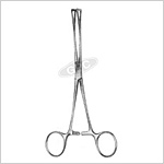 Organ Holding Forceps (Duval)