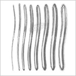 Uterine Dilators (Hegar)