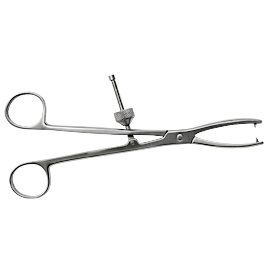 Malleolar Forceps with 2 Points which meet at 15° angle 210mm