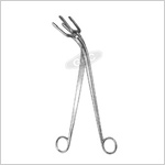 Sterilizing Forceps Pye-Smith (Harrison)