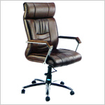 Revolving Chair