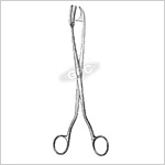 Sterilizing Forceps (Rogge)