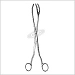 Sterilizing Forceps